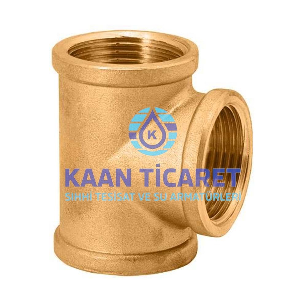 3/4 SARI TE